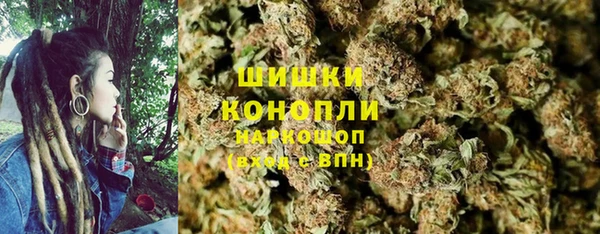 гашик Балахна
