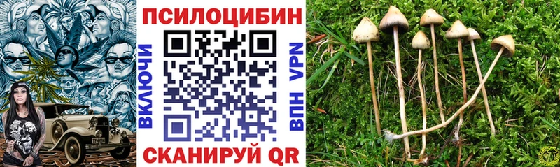 это состав  ссылка на мегу вход  Яхрома  Галлюциногенные грибы Cubensis 